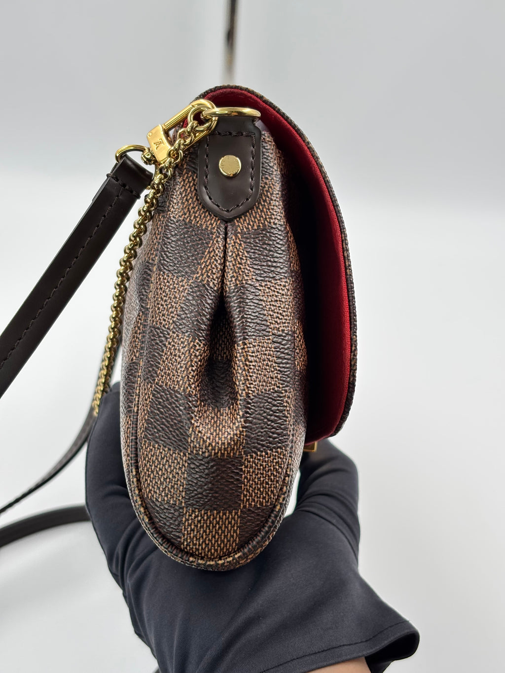 LV Damier Ebene Canvas Favorite MM Bag