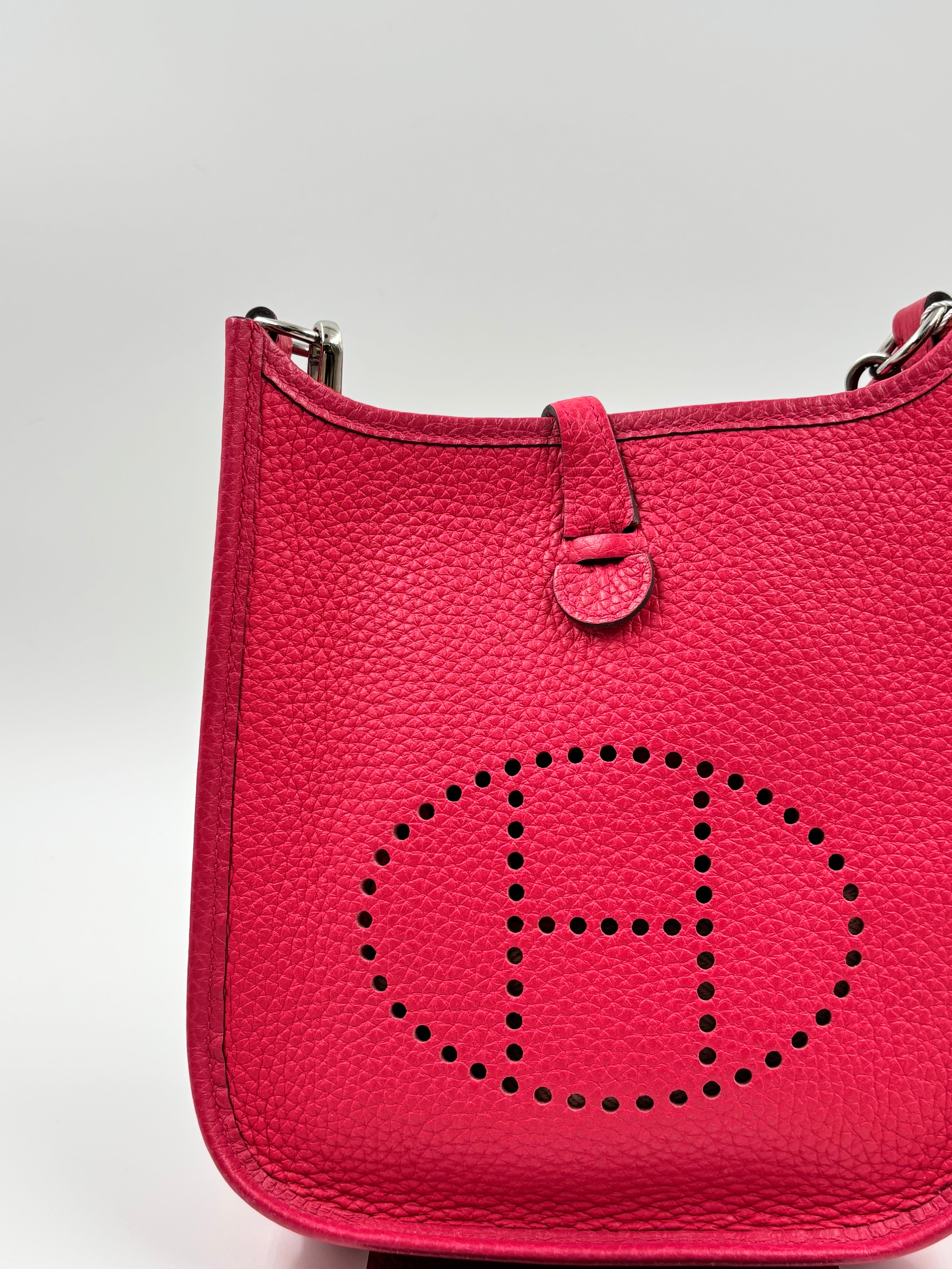 Hermes Evelyn TPM