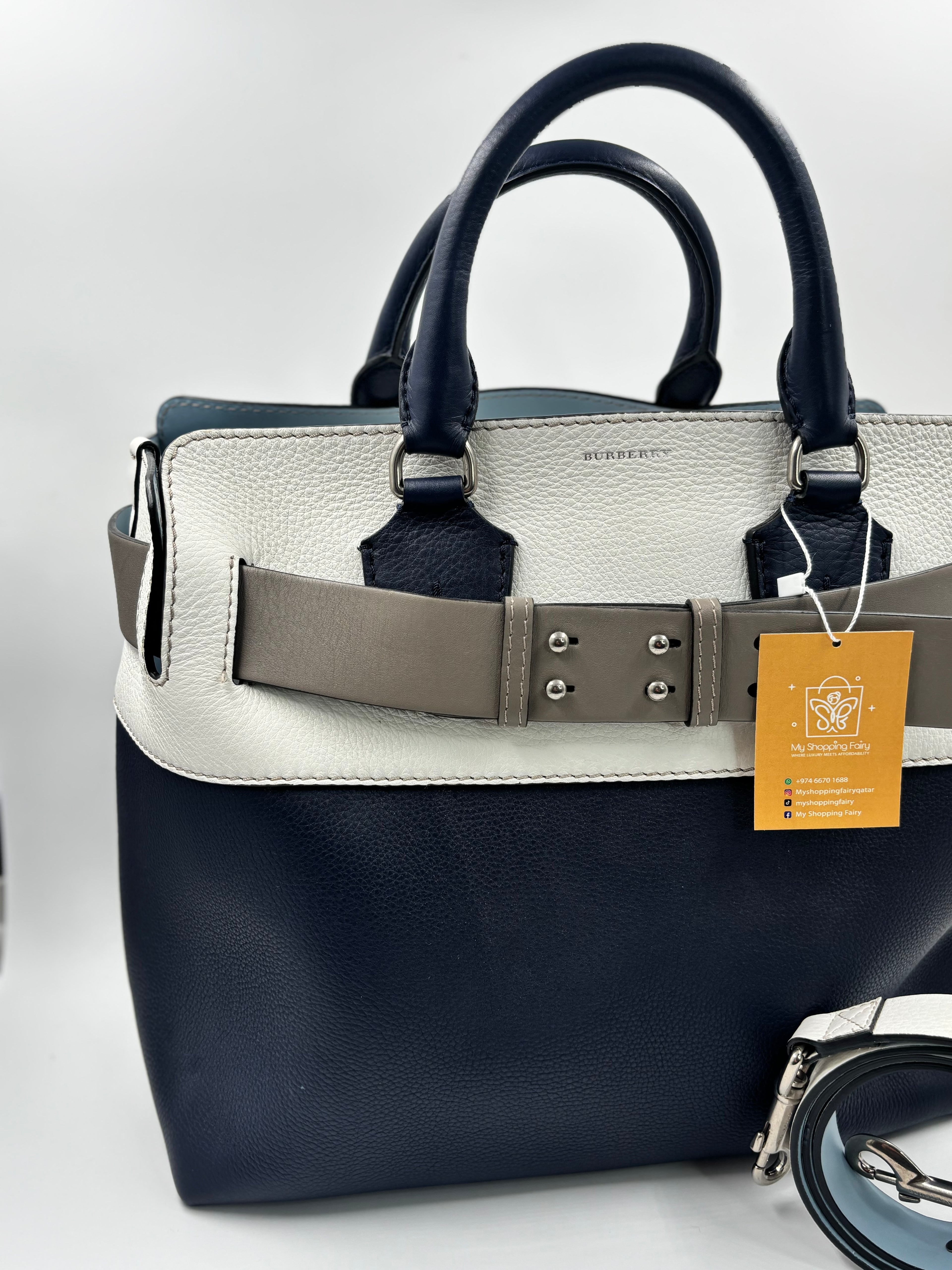 Burberry Tricolor Beltbag