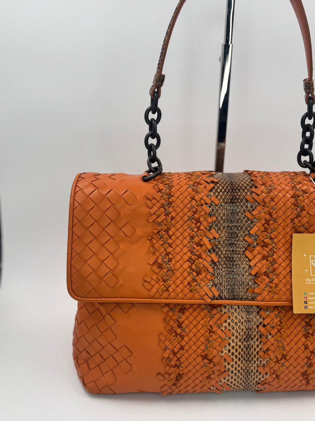 Bottega Veneta Exotic Bag