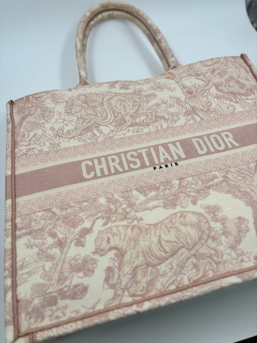 Christian Dior Booktote Bag