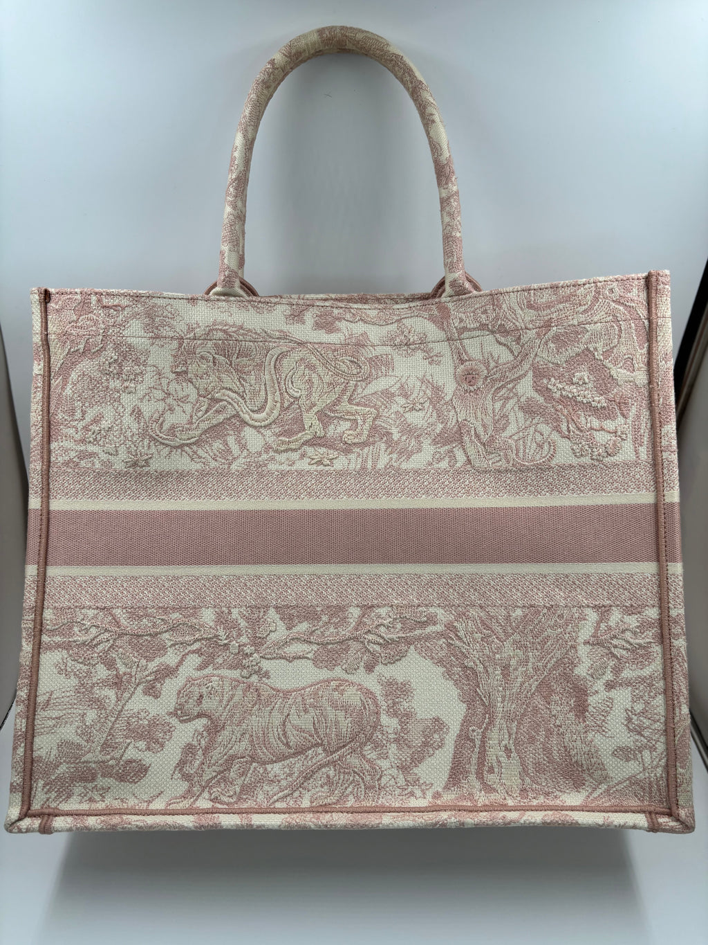 Christian Dior Booktote Bag