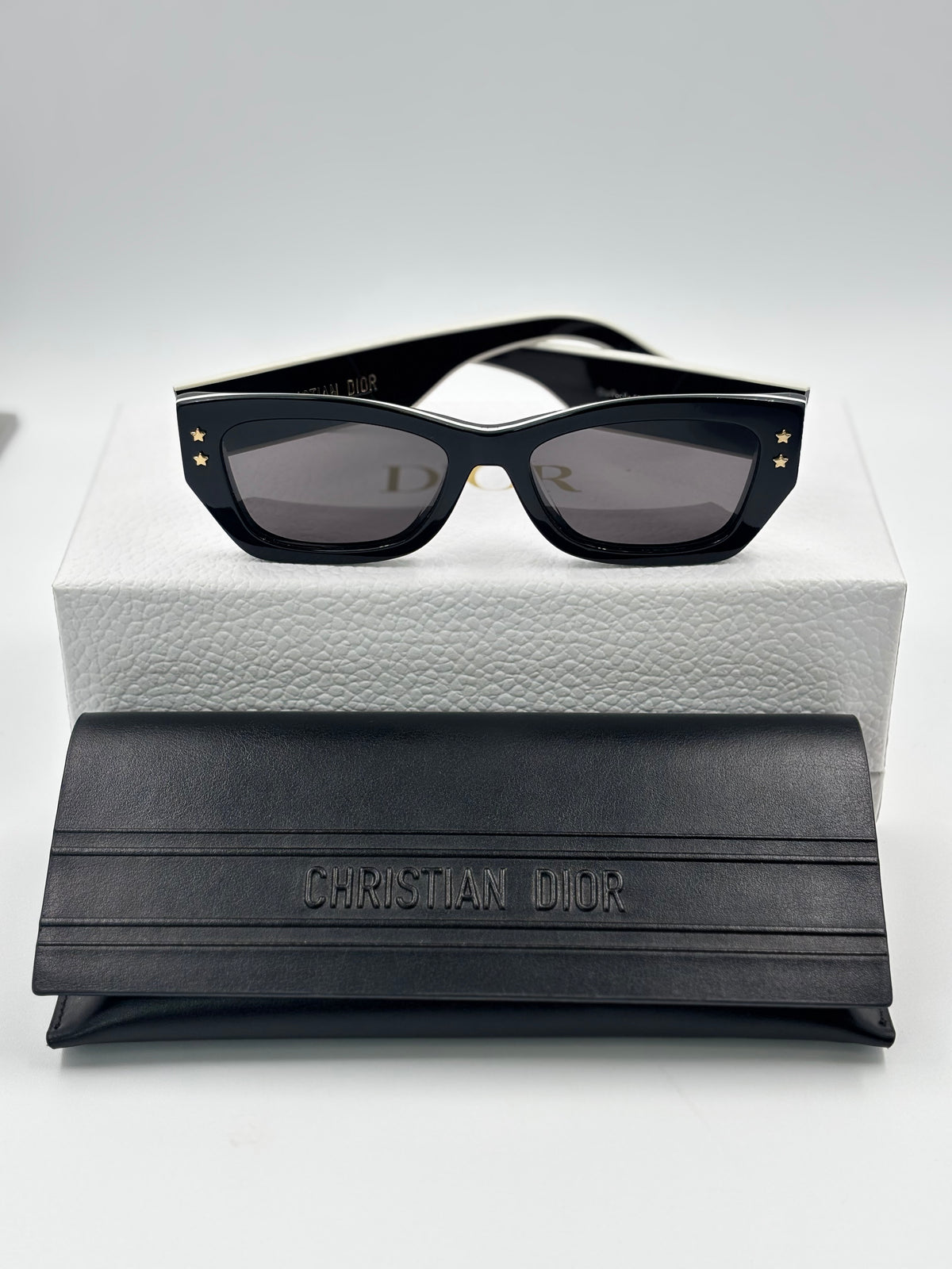 Dior Pacific S2U Rectangular Sunglasses