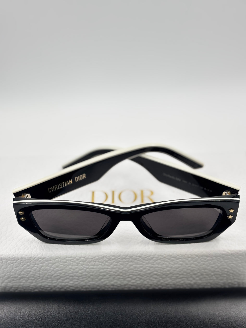 Dior Pacific S2U Rectangular Sunglasses