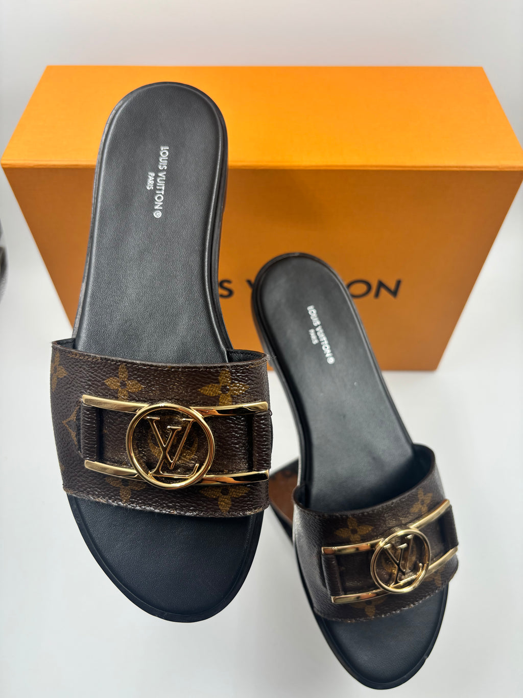 LV Slides