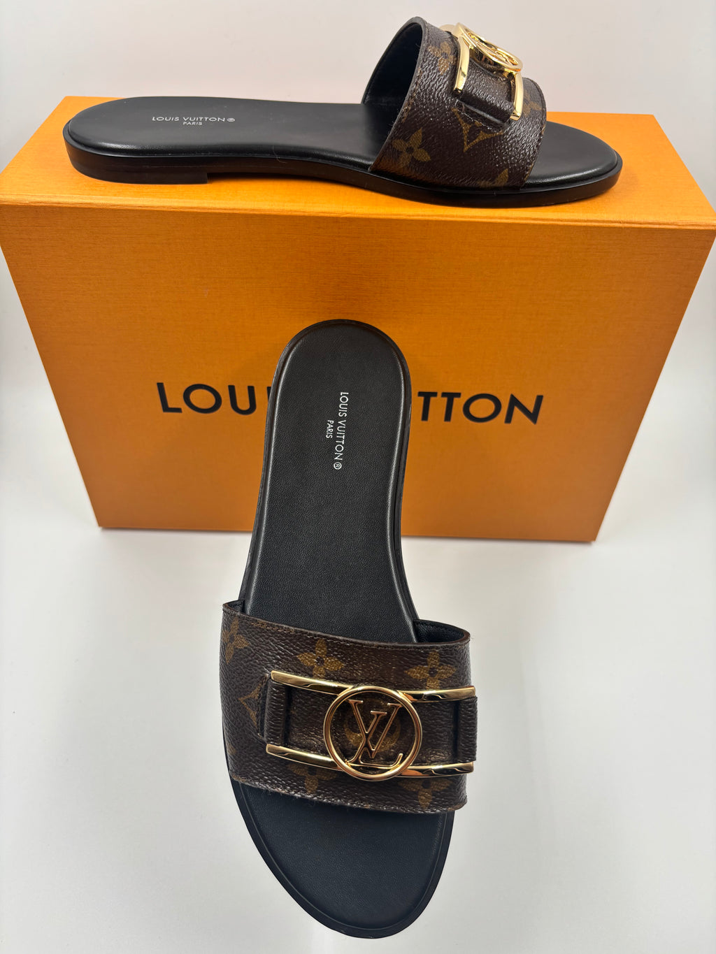 LV Slides