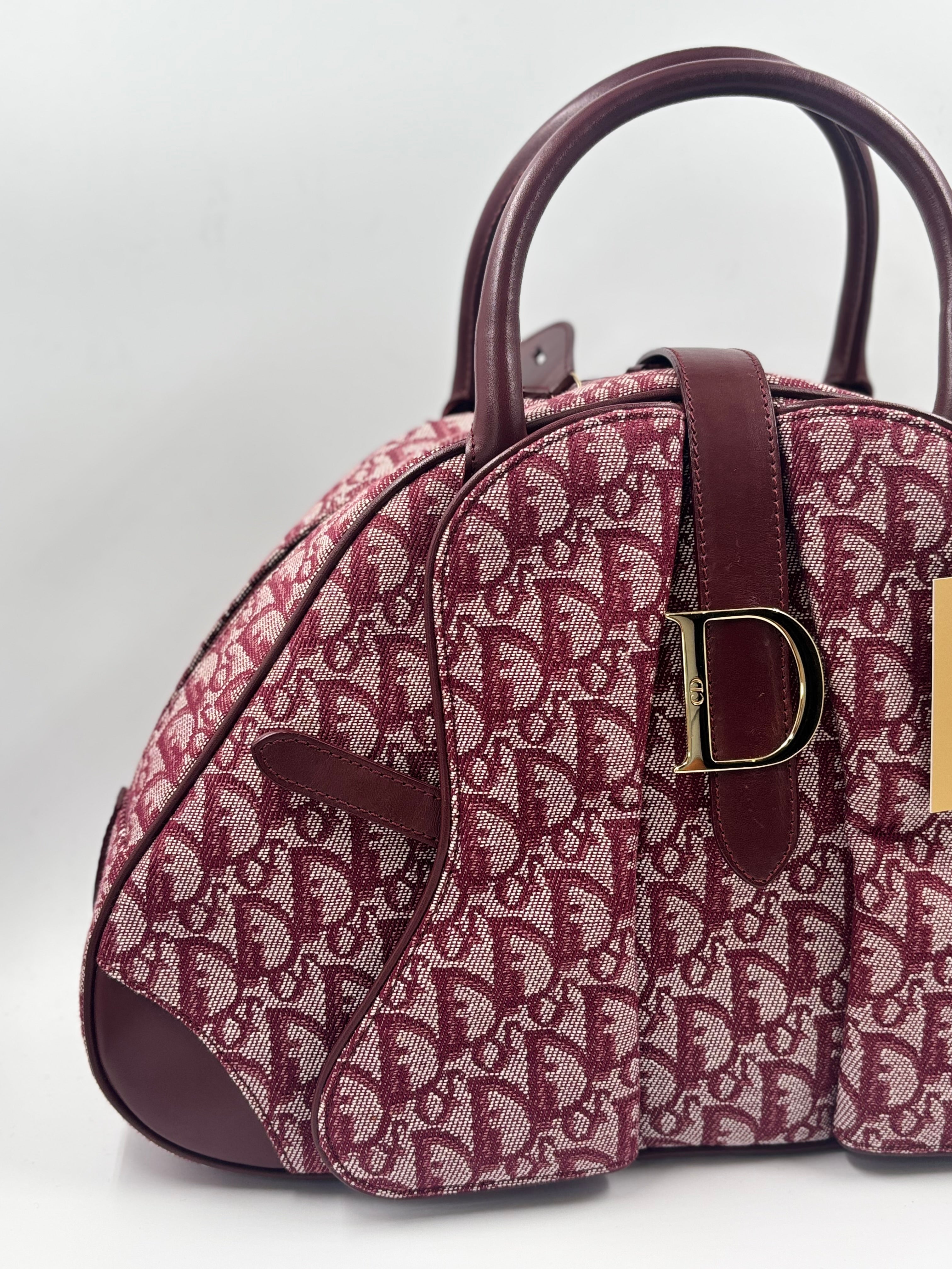 Christian Dior Saddle  Bowler Bag
