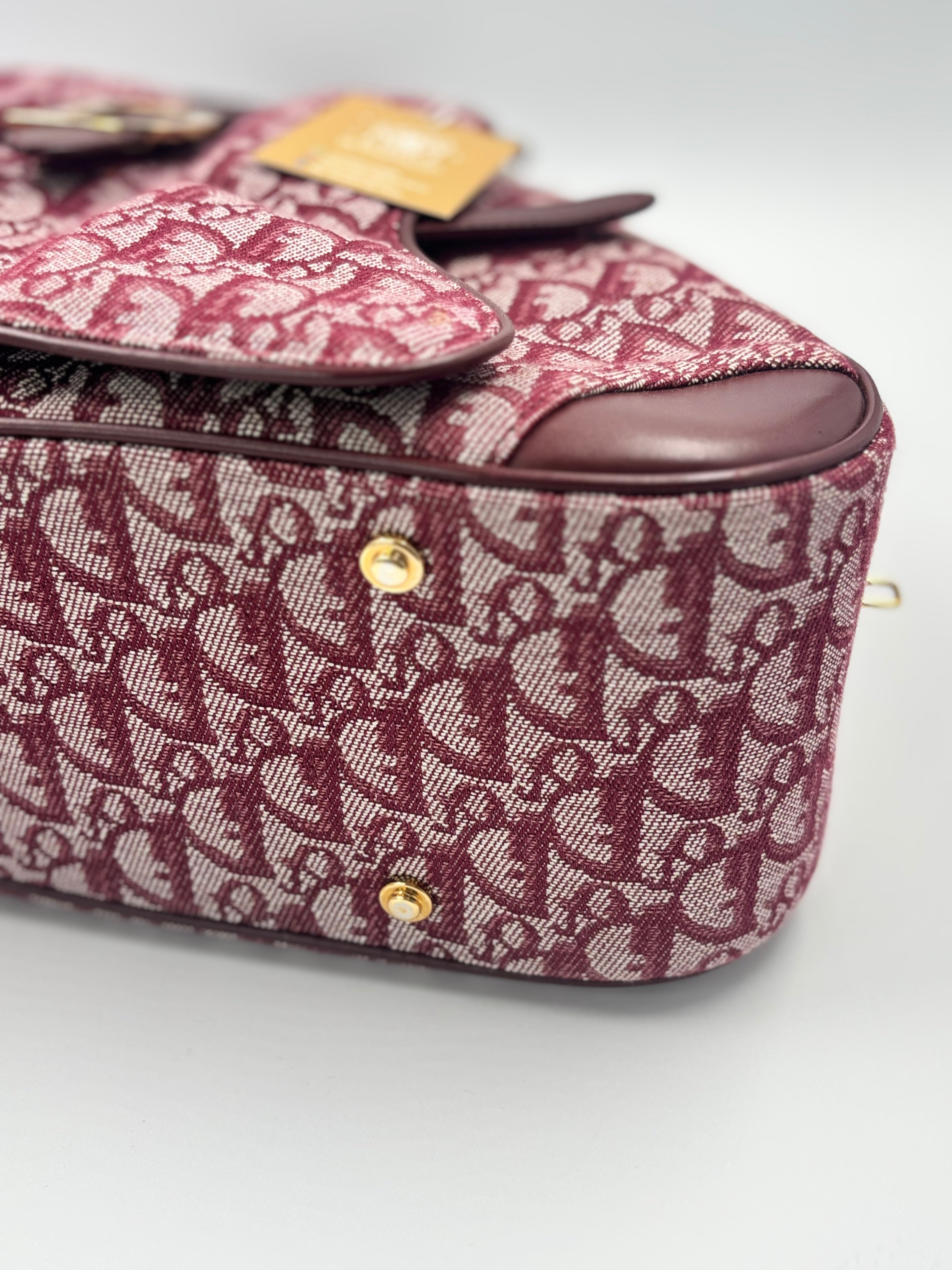Christian Dior Saddle  Bowler Bag