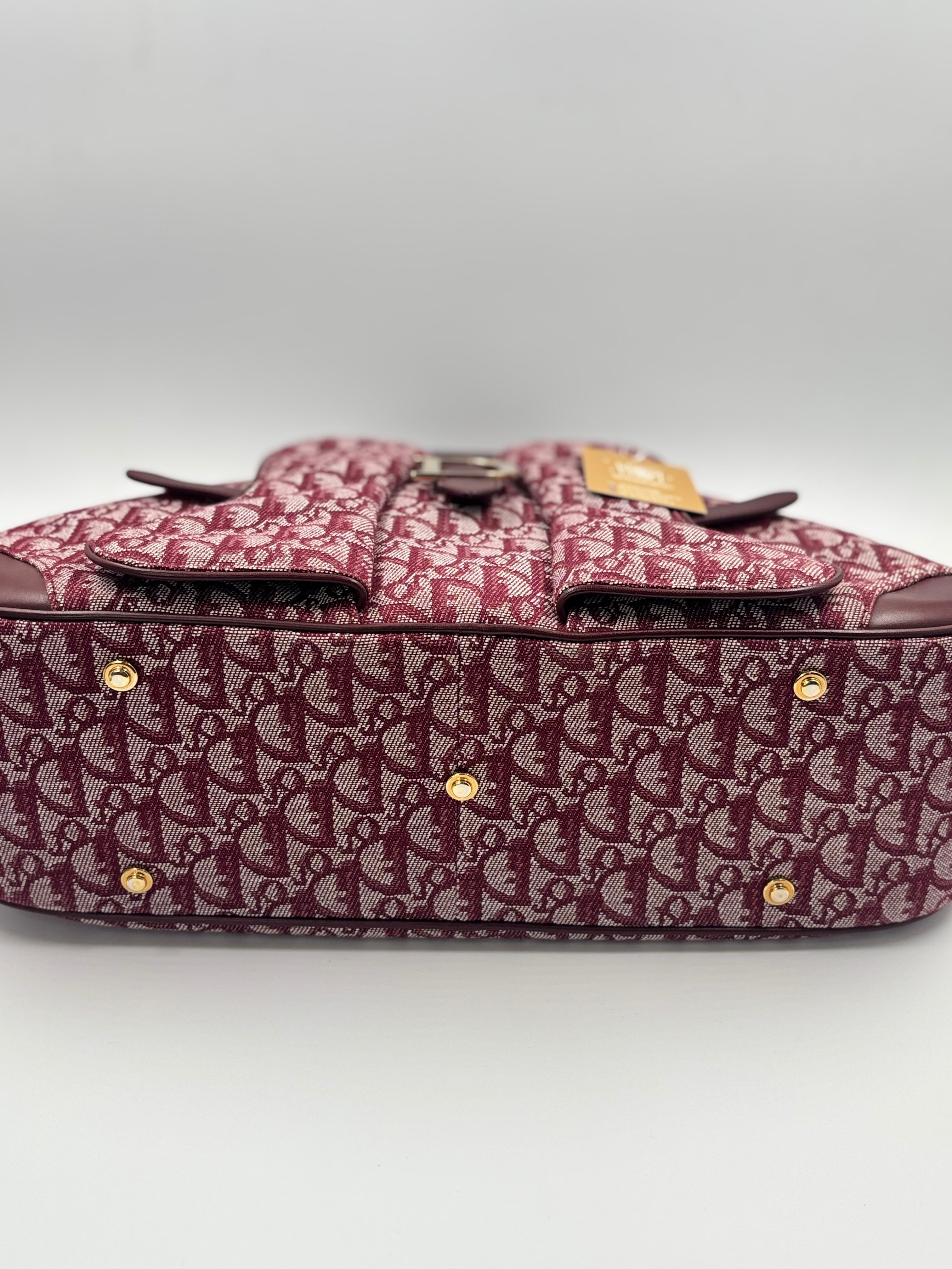 Christian Dior Saddle  Bowler Bag