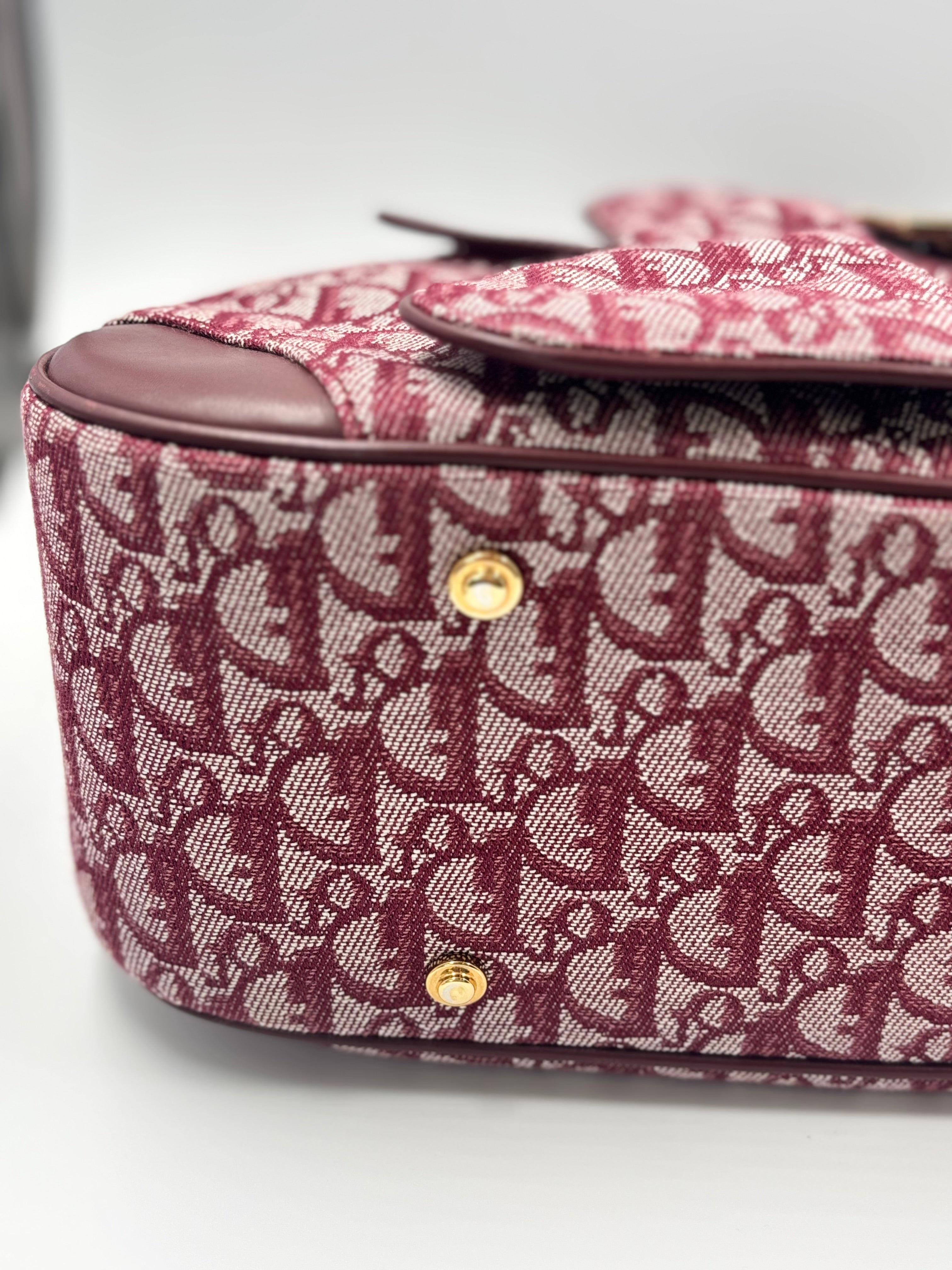 Christian Dior Saddle  Bowler Bag