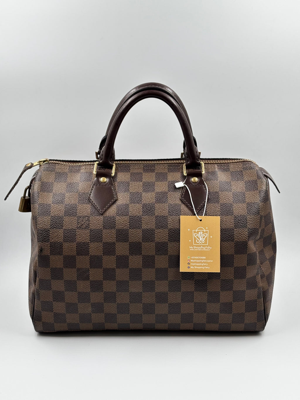 LV Speedy 30 Damier Ebene