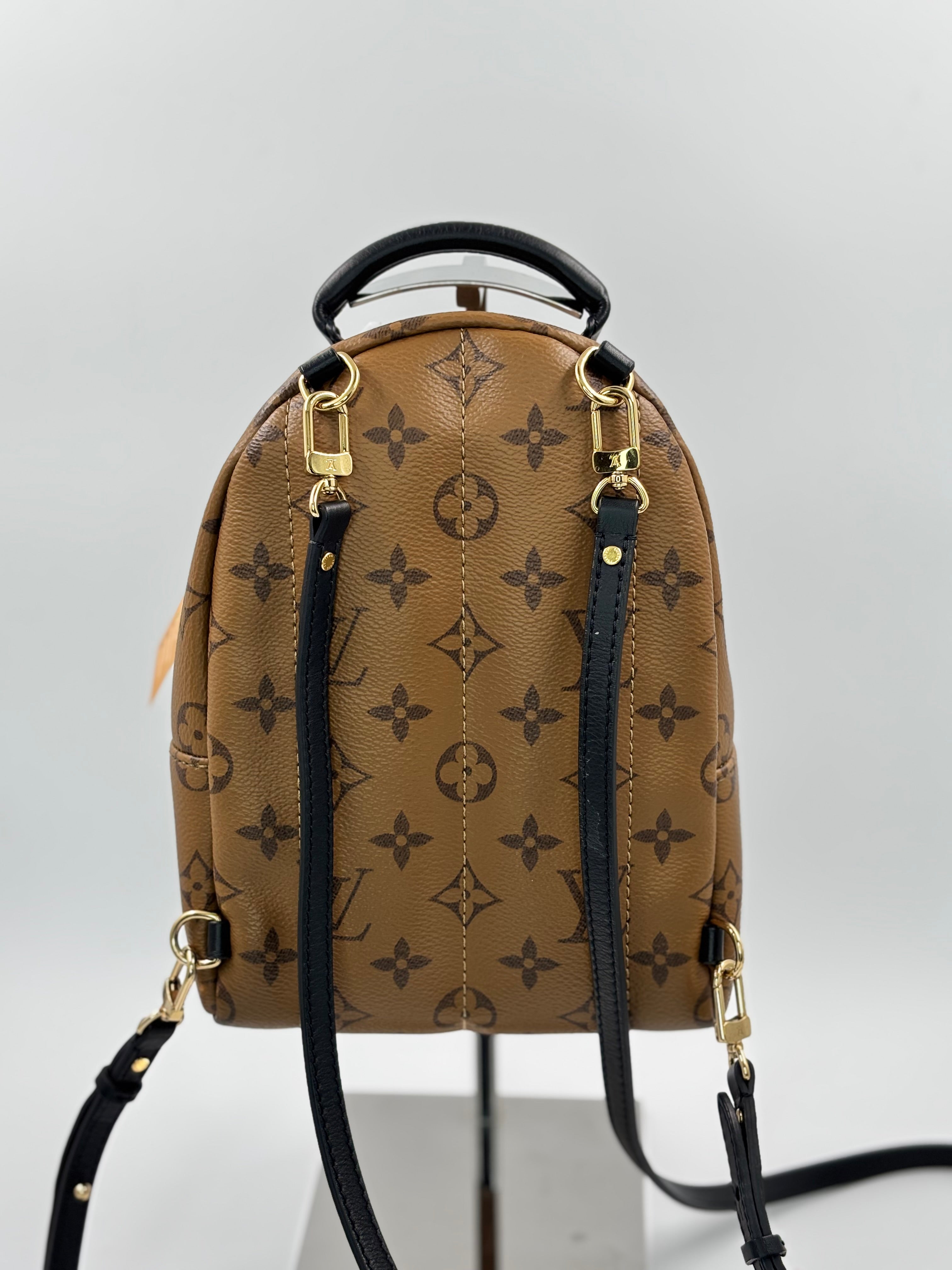 LV Monogram Reverse Mini Palm Springs  Backpack Bag