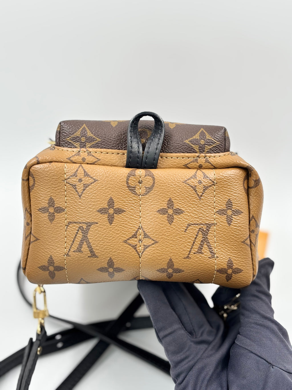 LV Monogram Reverse Mini Palm Springs  Backpack Bag
