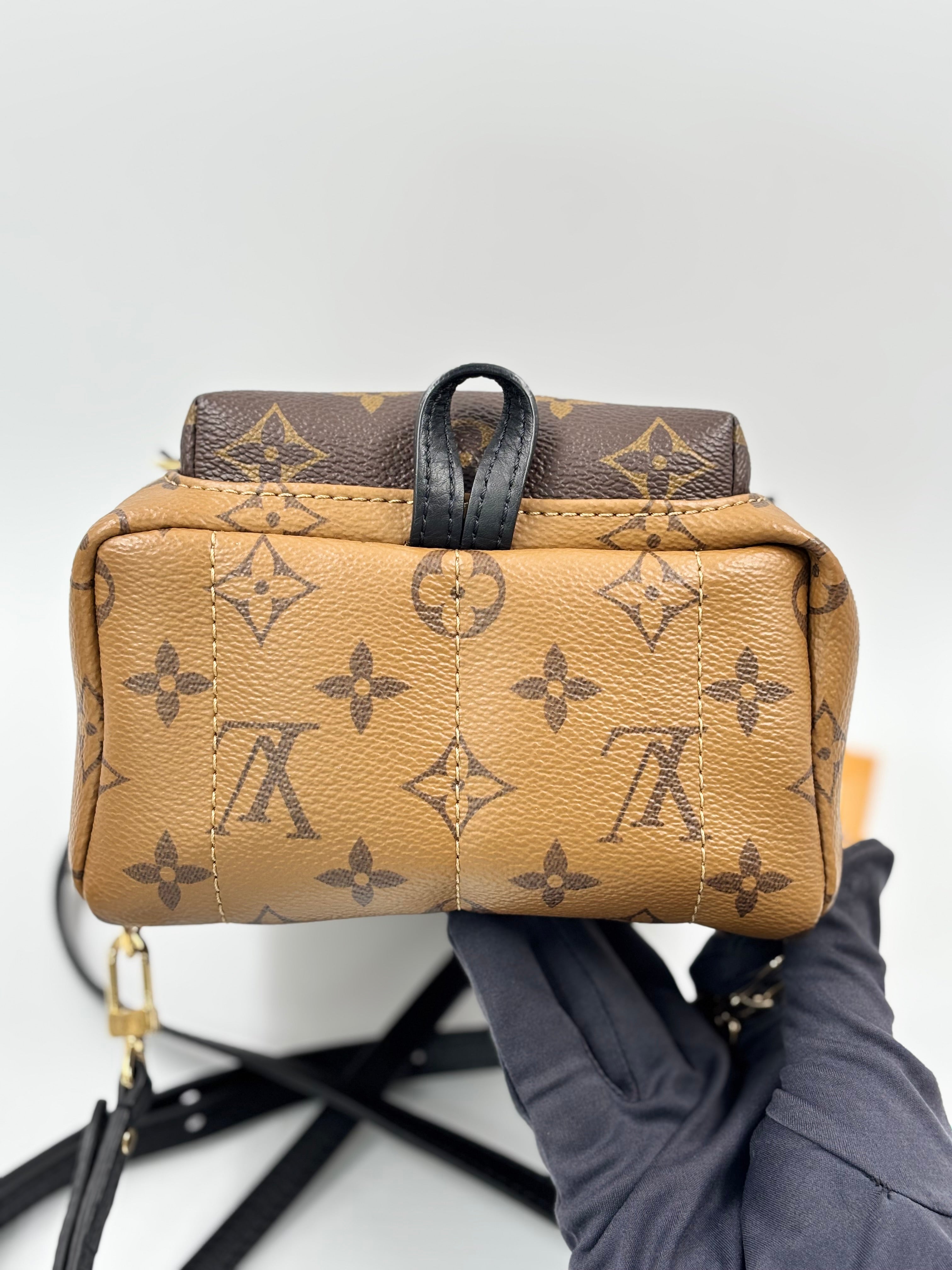 LV Monogram Reverse Mini Palm Springs  Backpack Bag