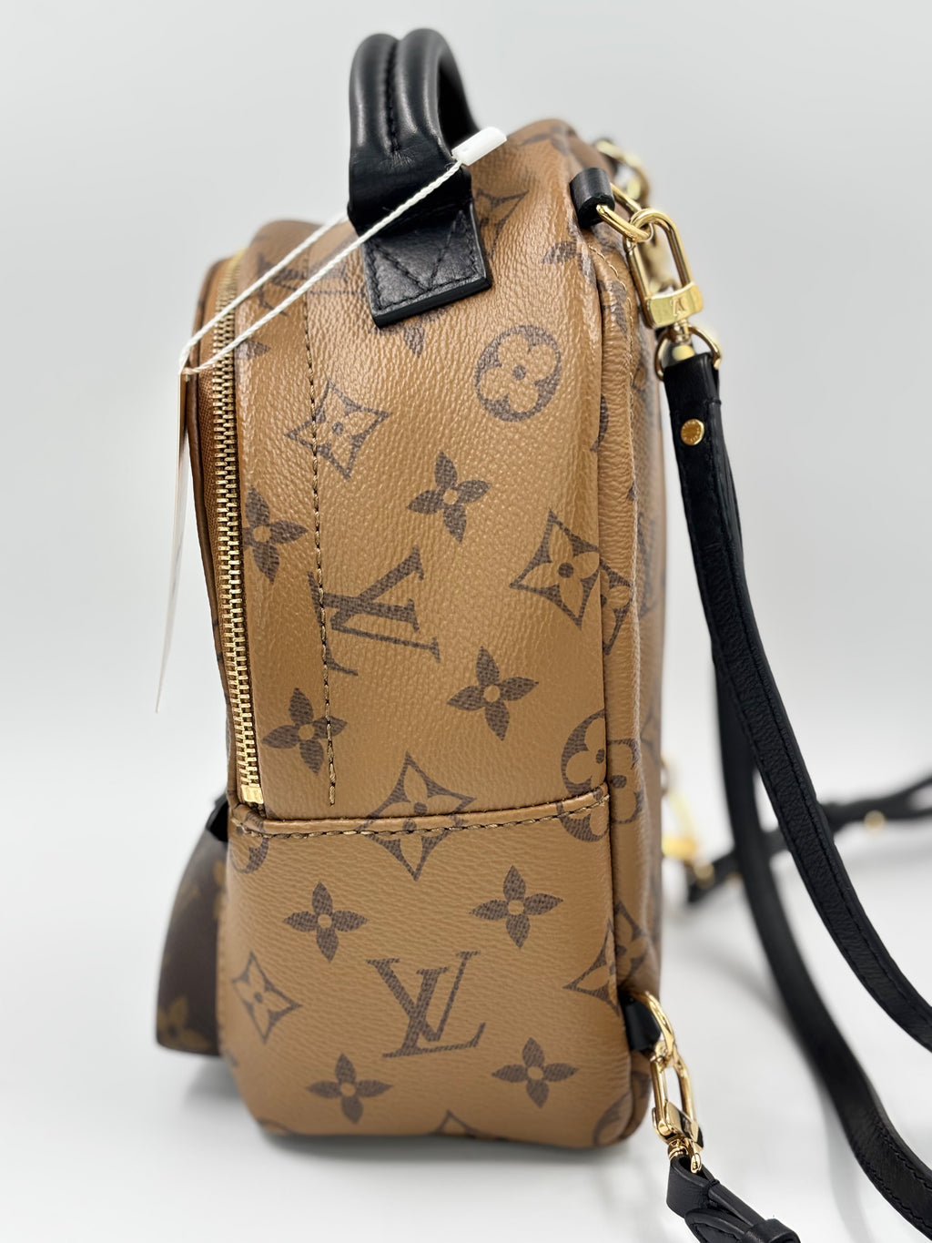 LV Monogram Reverse Mini Palm Springs  Backpack Bag