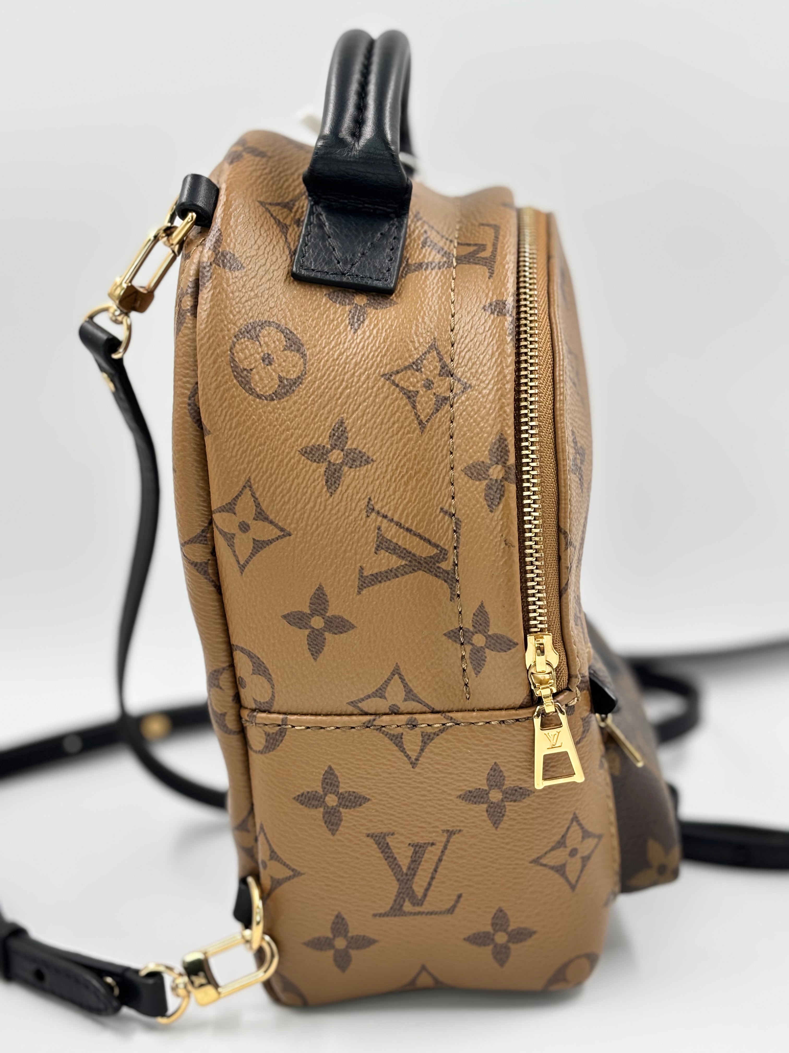 LV Monogram Reverse Mini Palm Springs  Backpack Bag