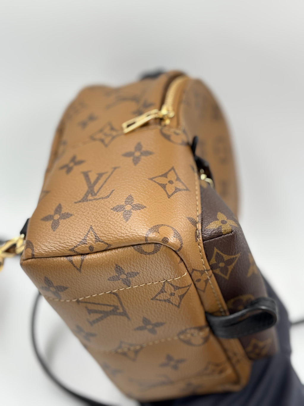 LV Monogram Reverse Mini Palm Springs  Backpack Bag