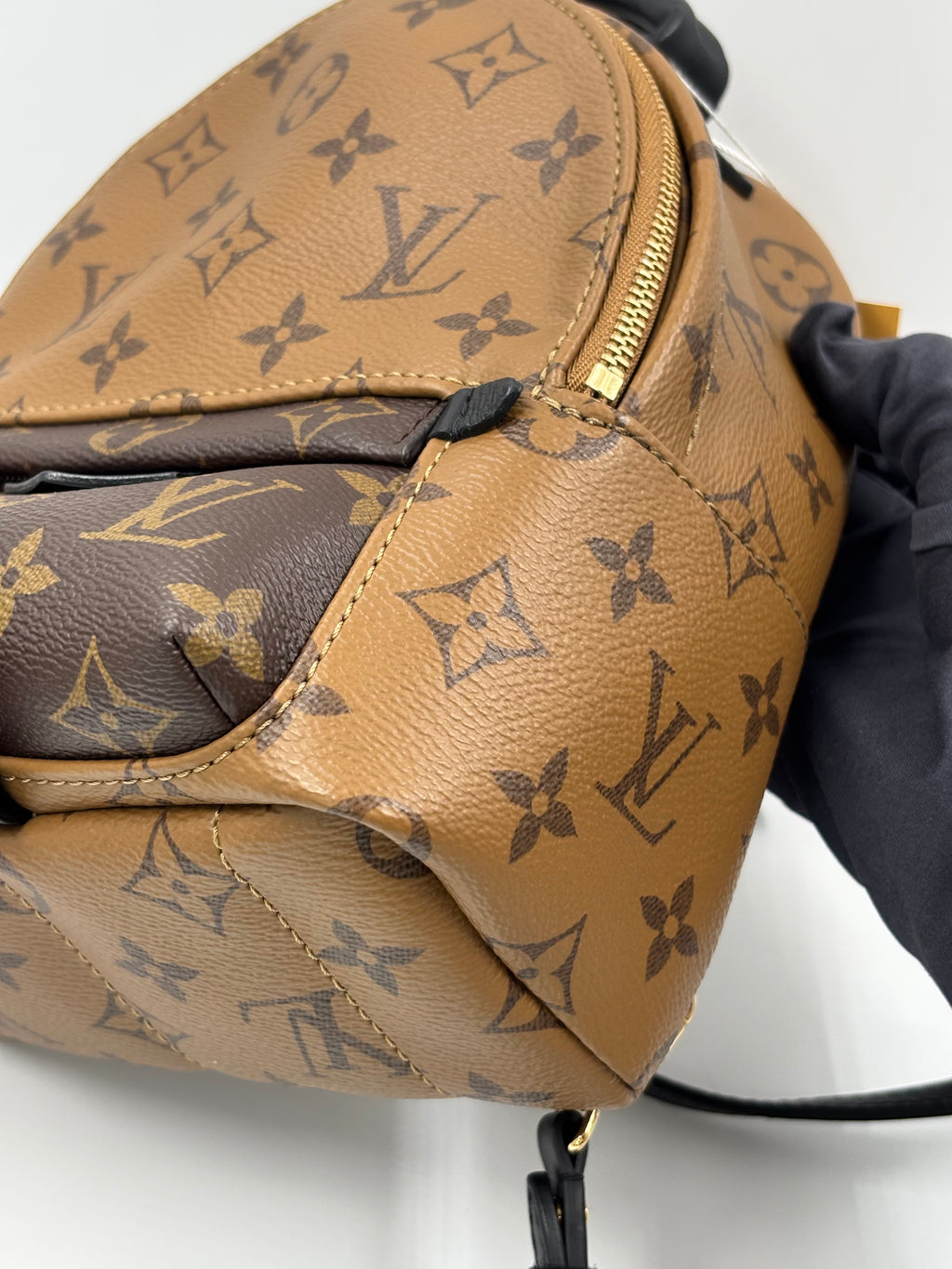LV Monogram Reverse Mini Palm Springs  Backpack Bag