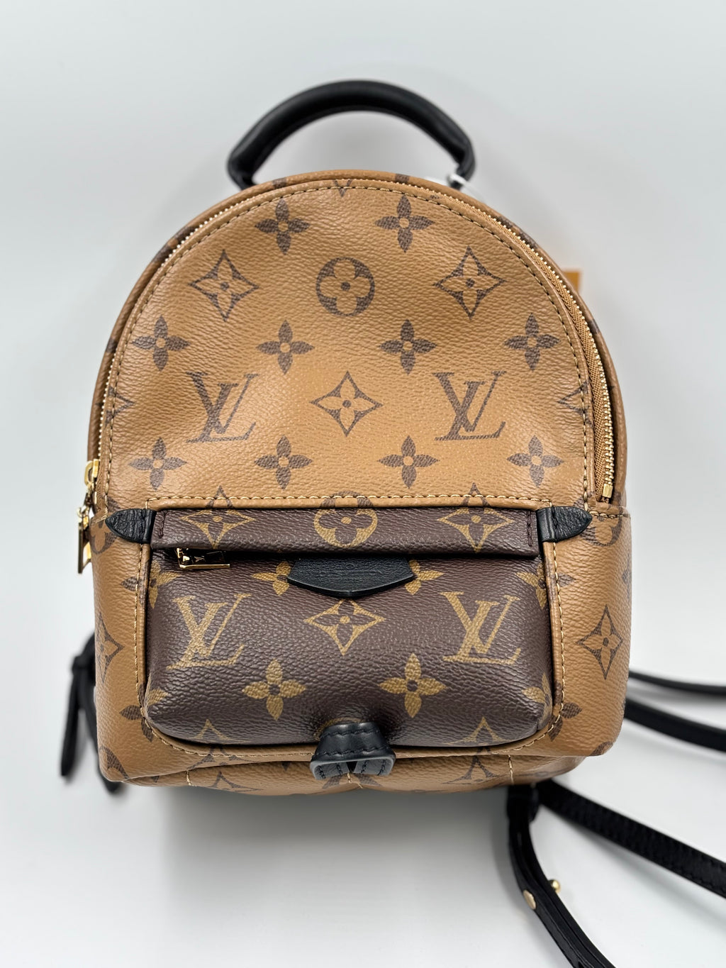 LV Monogram Reverse Mini Palm Springs  Backpack Bag