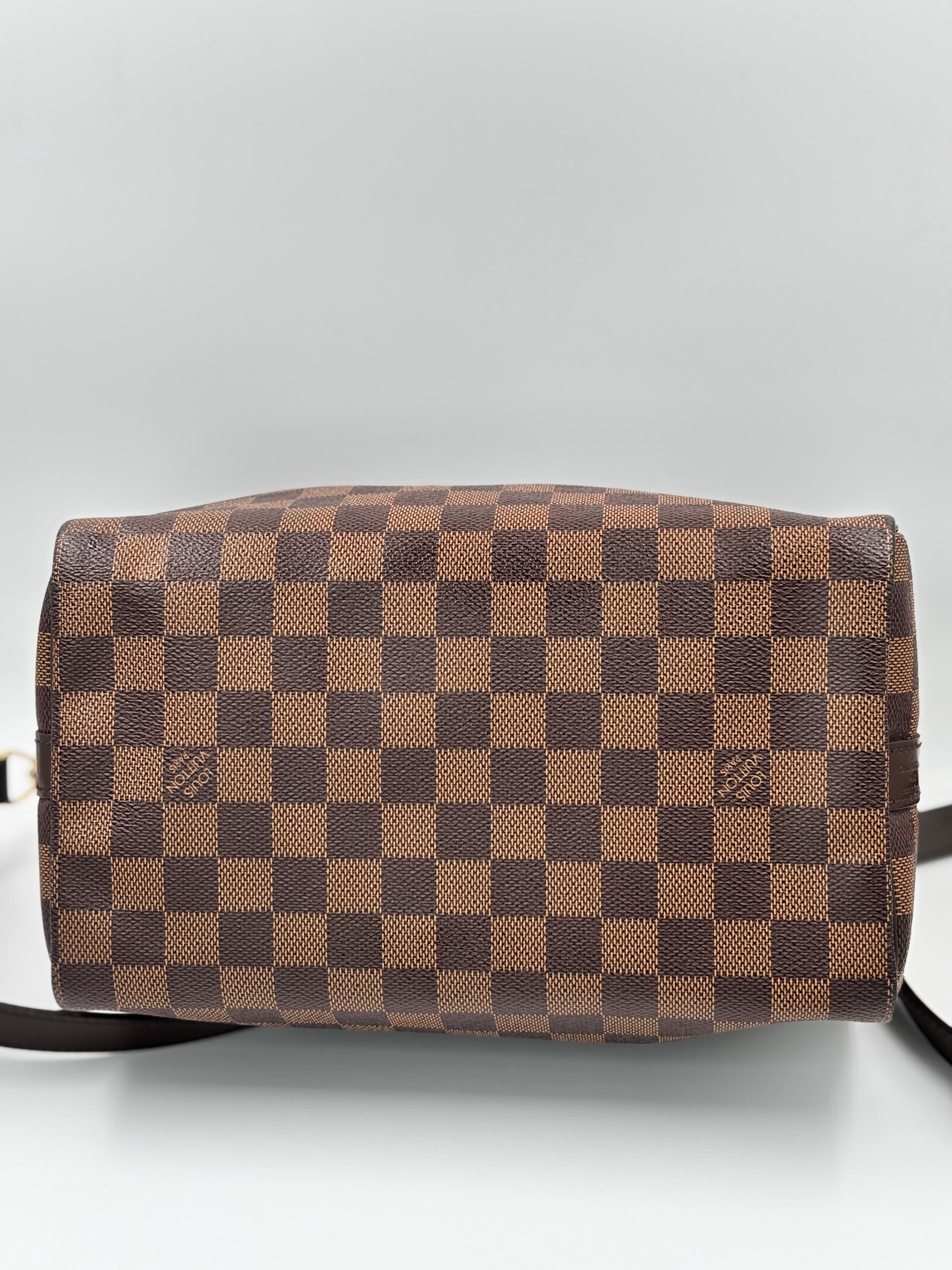 LV Damier Canvas Speedy Bandouliere  25