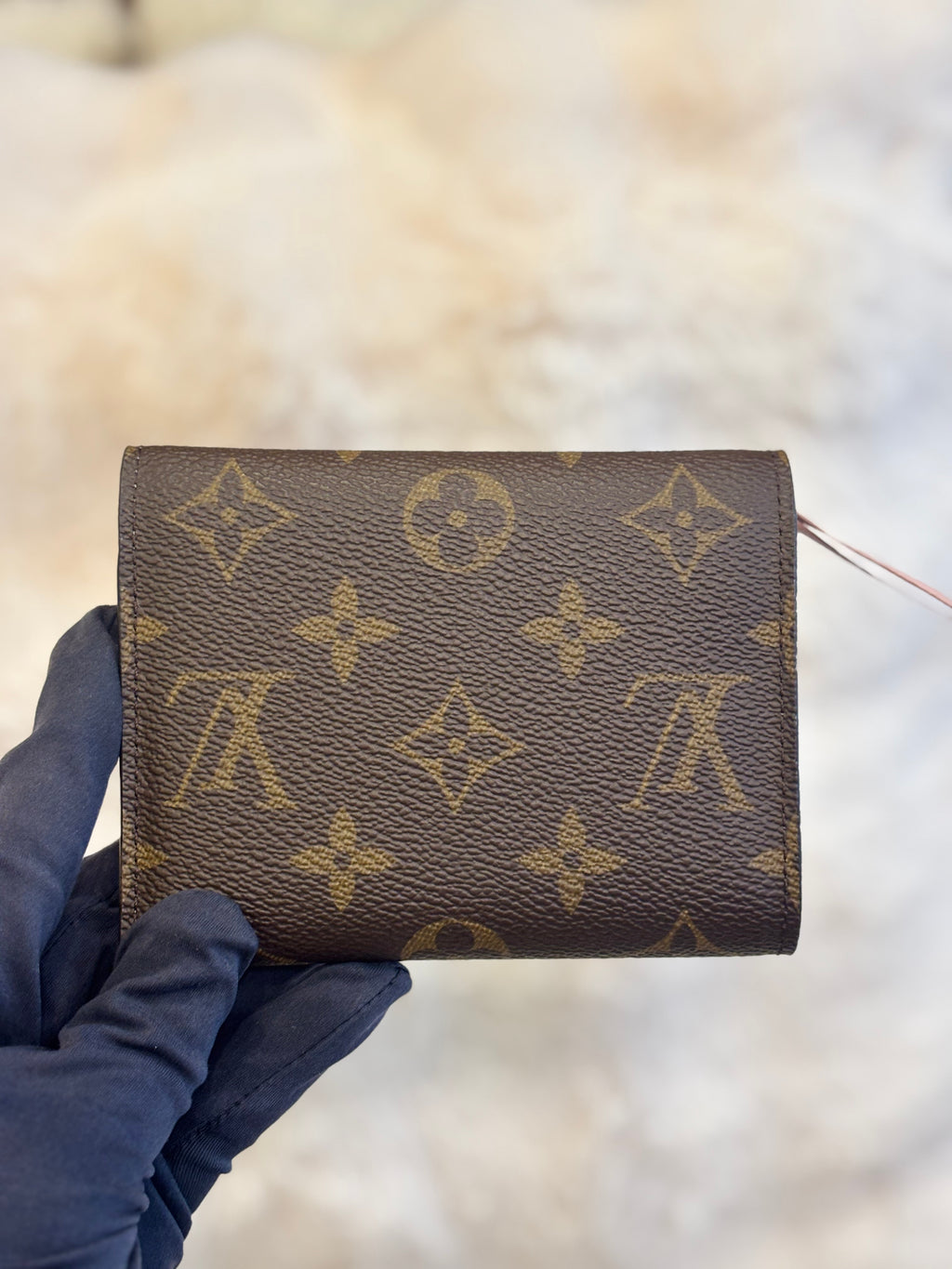 LV Victorine Wallet