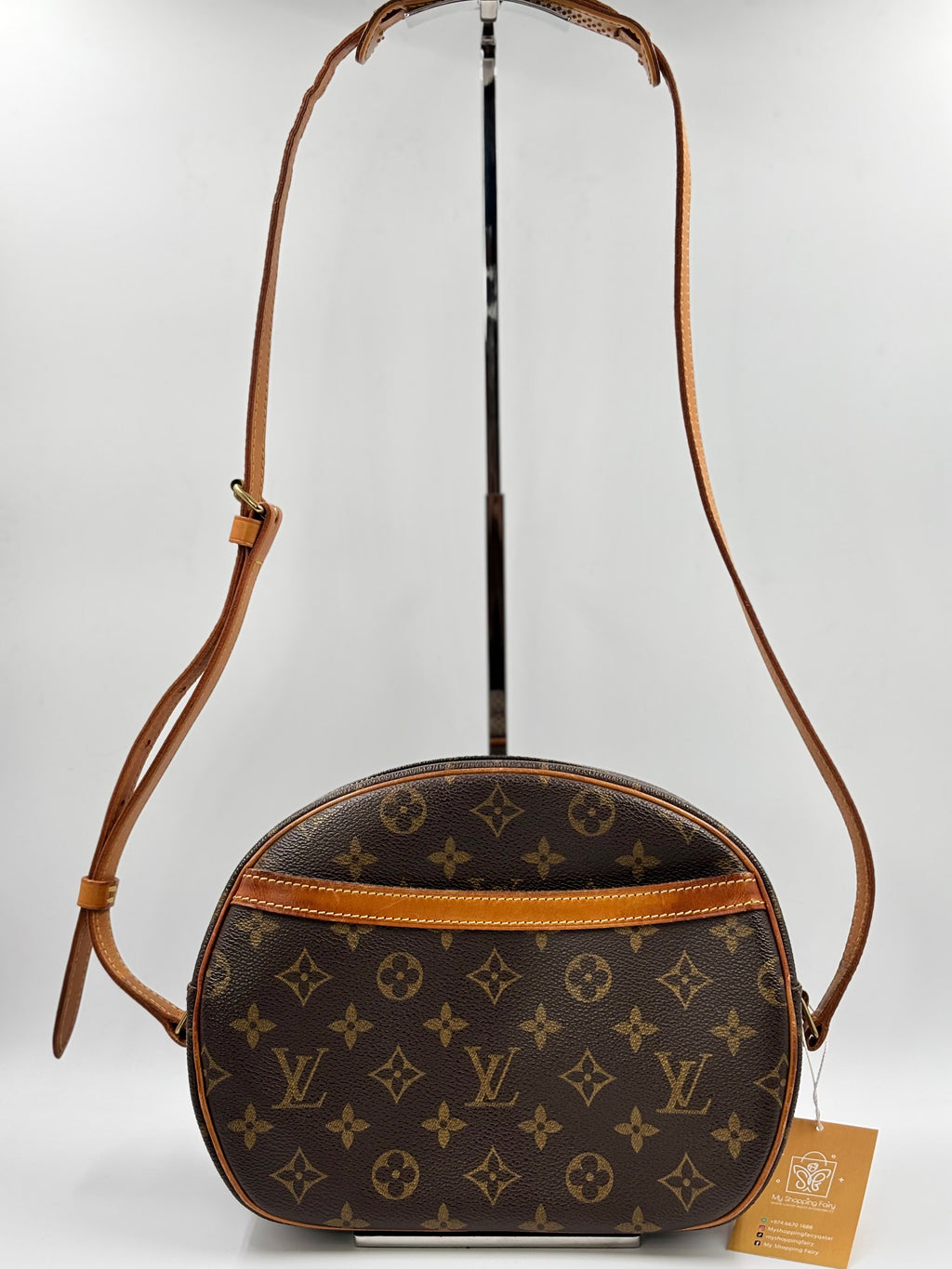 LV Monogram Canvas  Blois Bag