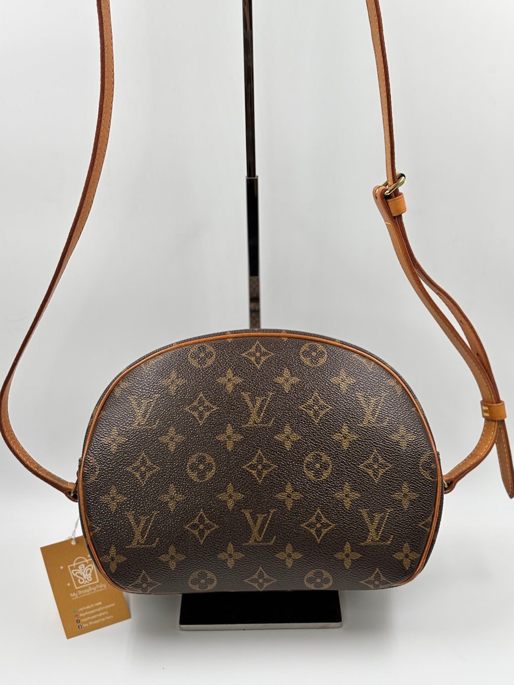 LV Monogram Canvas  Blois Bag