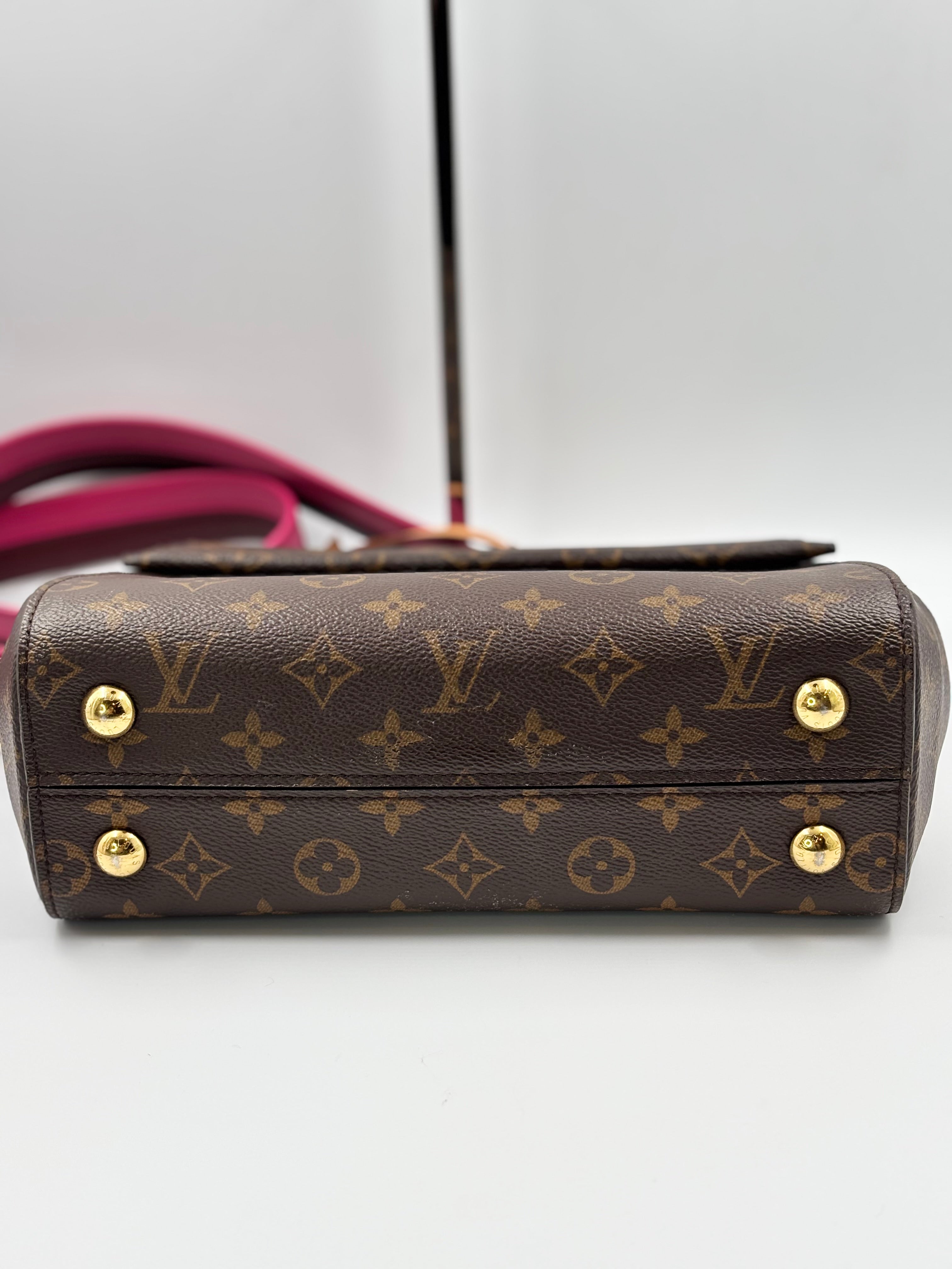 LV Bordeaux/ Fuchsia Monogram Canvas Cluny