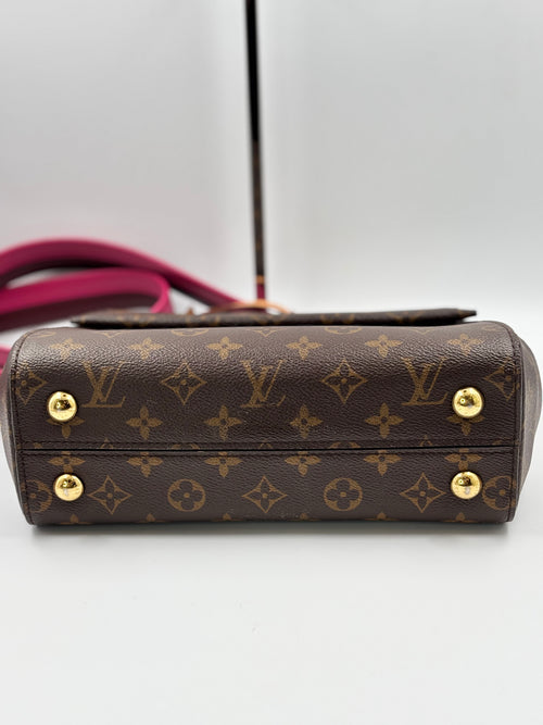 LV Bordeaux/ Fuchsia Monogram Canvas Cluny