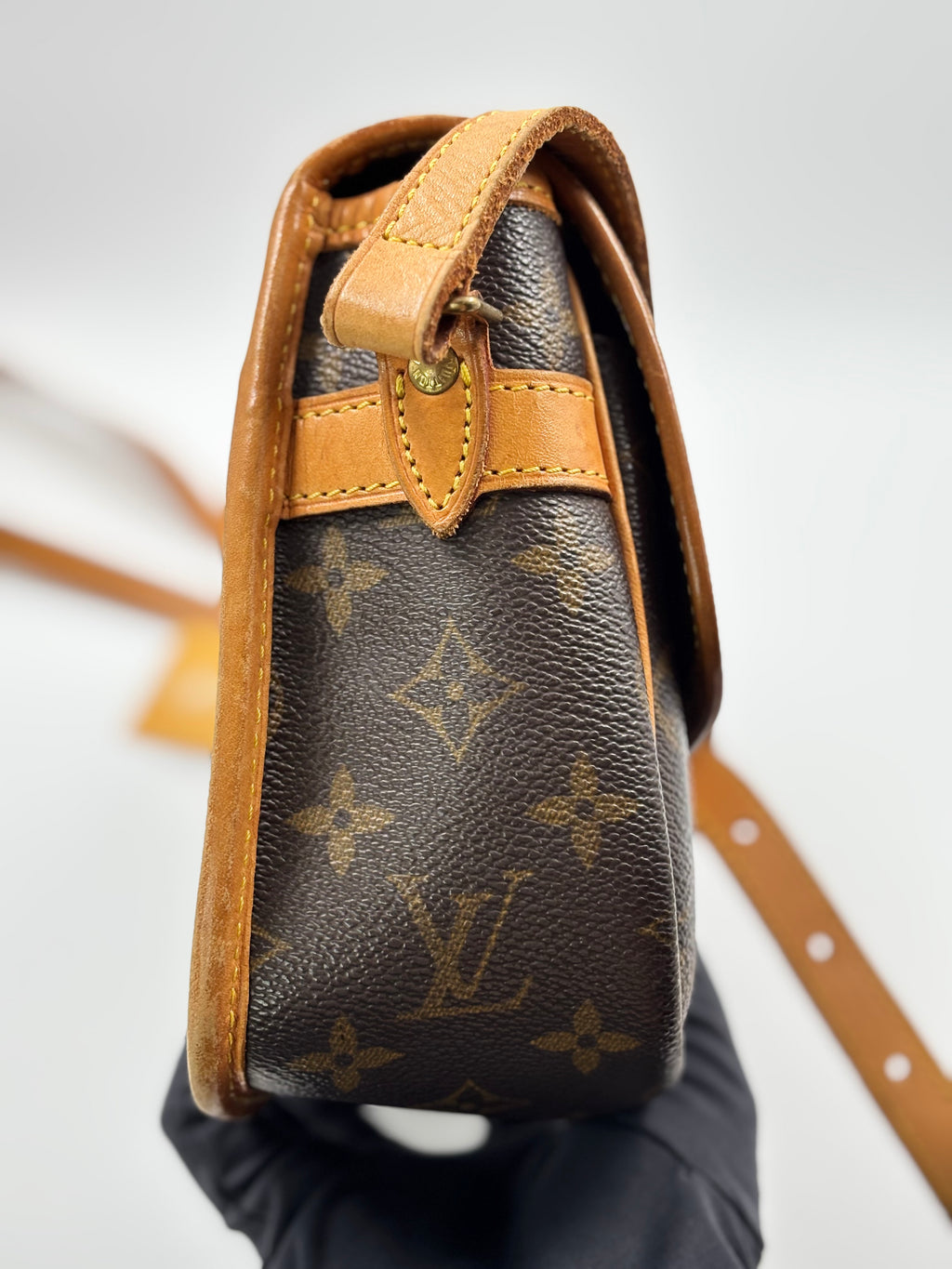 LV Monogram Canvas Sologne Bag