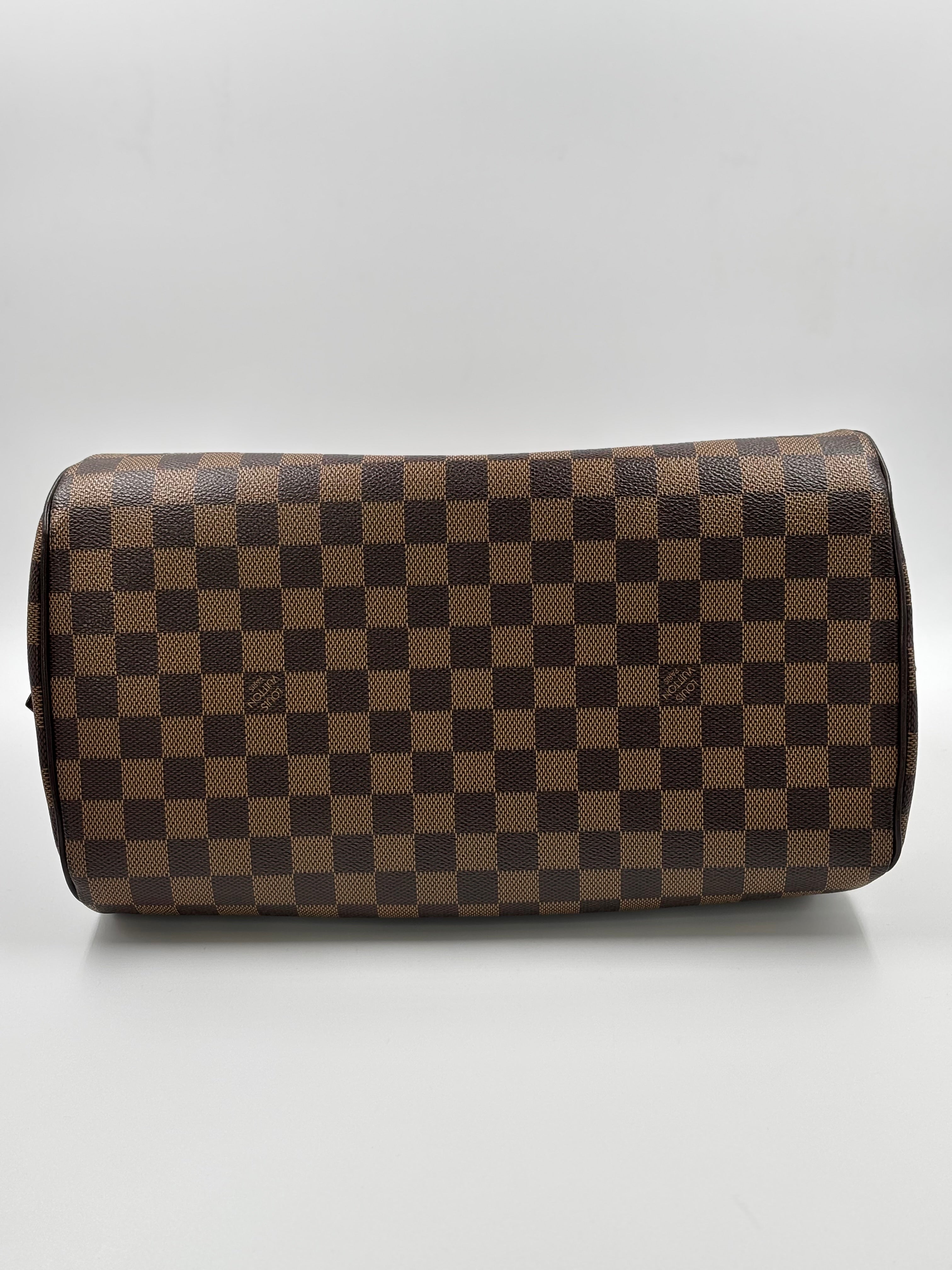 LV Damier Ebene Ribera MM