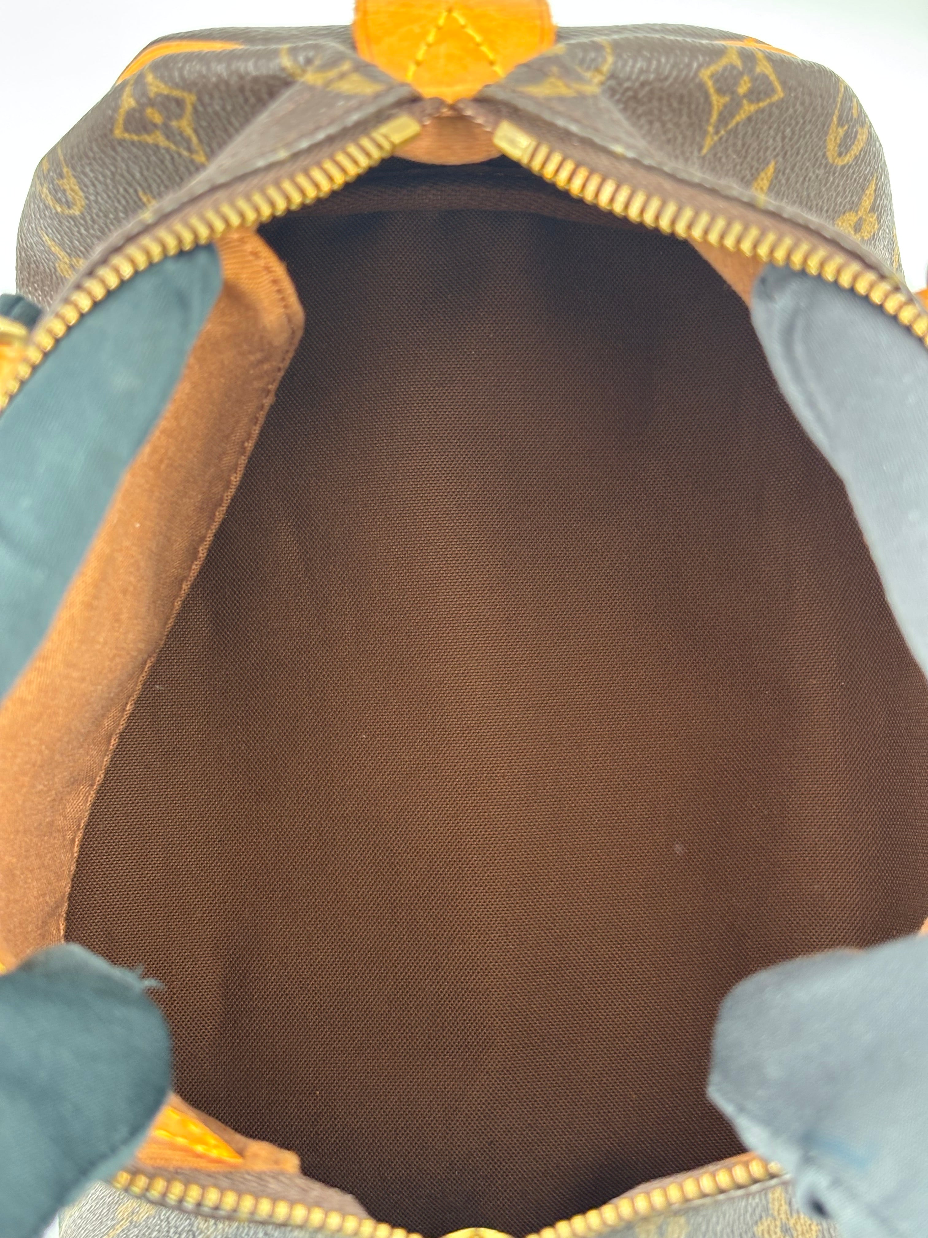 LV Monogram Speedy 25