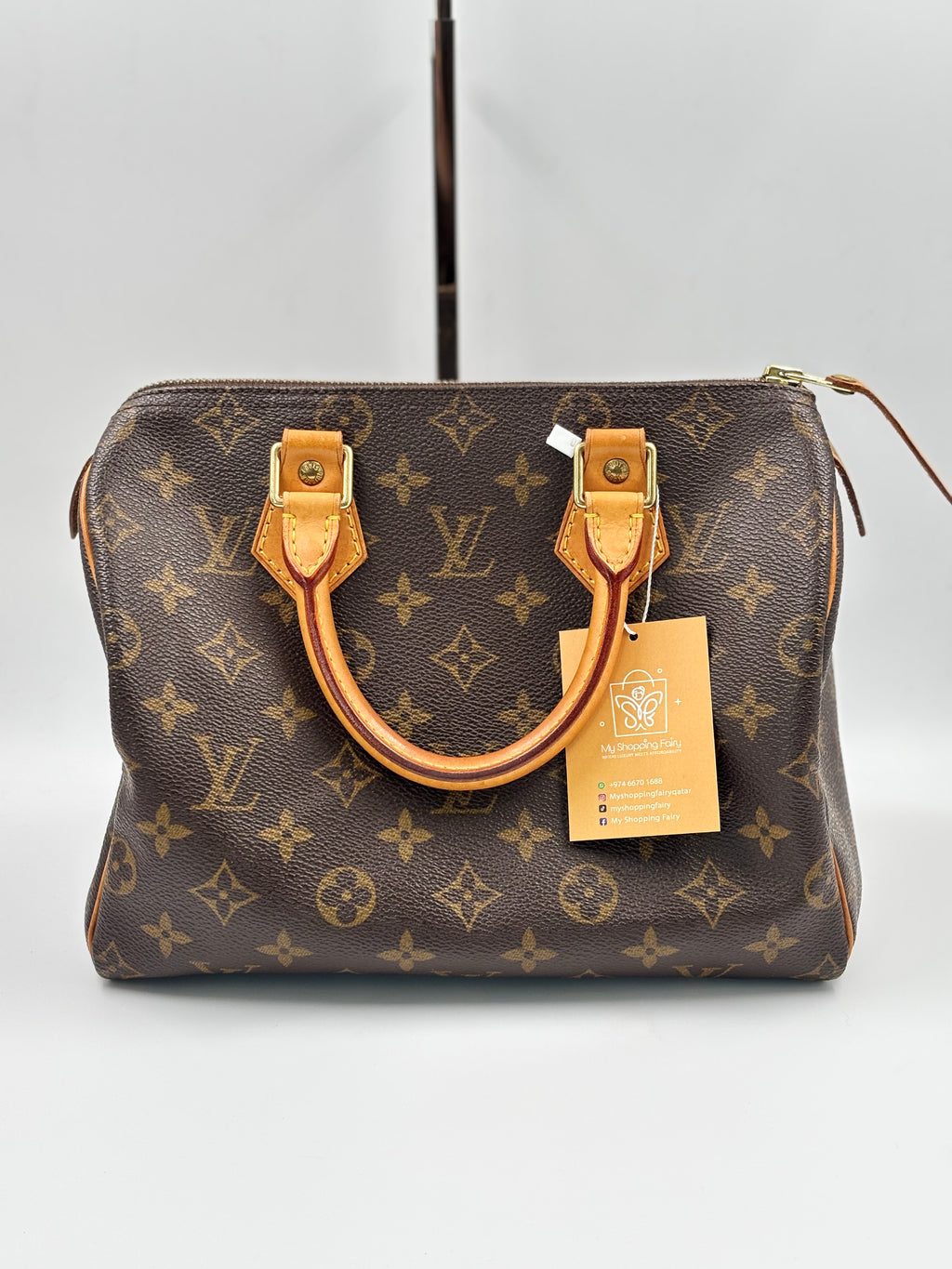 LV Monogram Speedy 25
