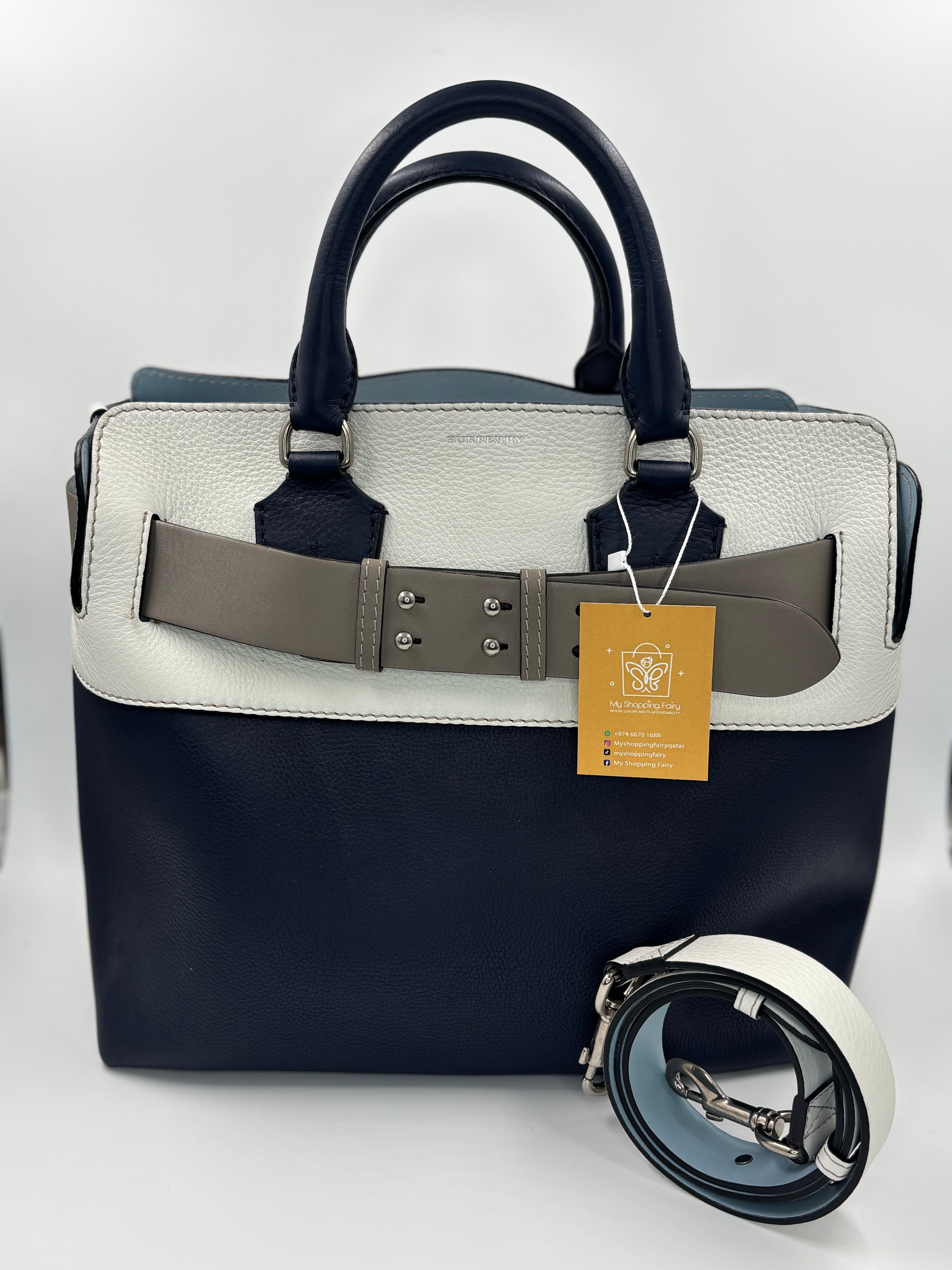 Burberry Tricolor Beltbag